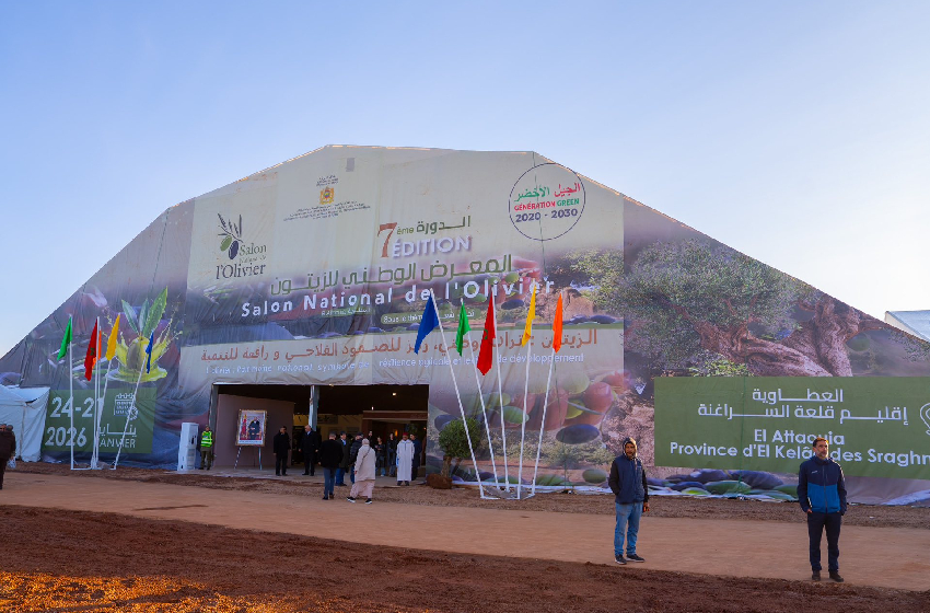 السابعة للمعرض الوطني للزيتون