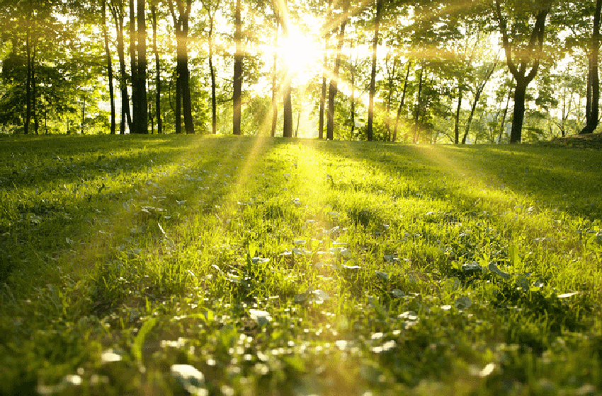  الضوء الطبيعي يحسن الأداء الذهني ويعزز التركيز (دراسة)