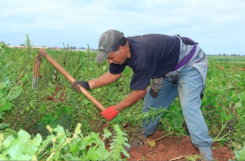  بنسليمان.. التساقطات المطرية تحمل بشائر موسم فلاحي واعد