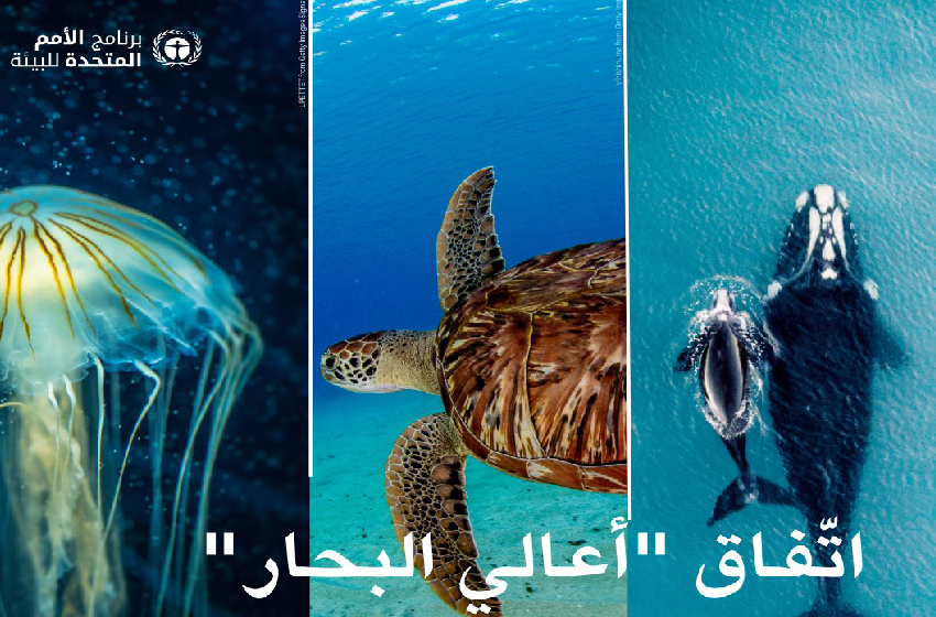 الأمم المتحدة بشأن أعالي البحار