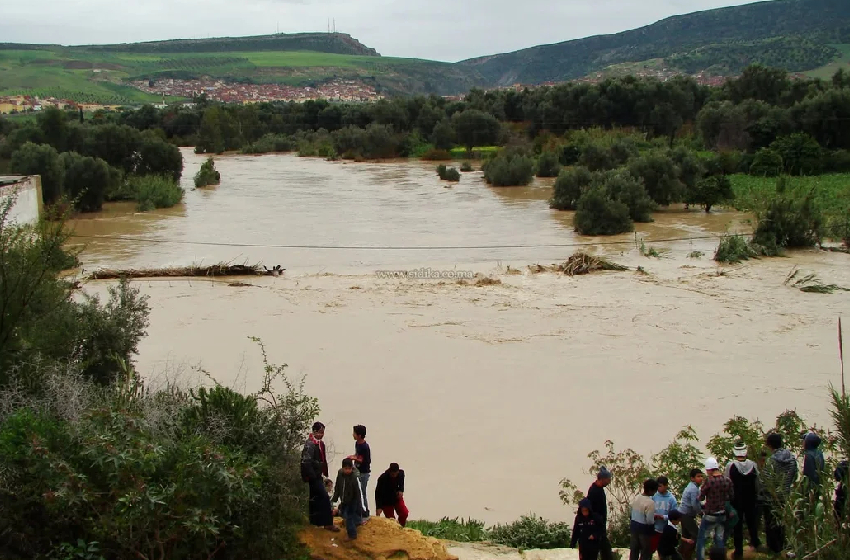 الغرب. المكتب الجهوي للاستثمار الفلاحي يكثف تدخلاته لدعم الفلاحين