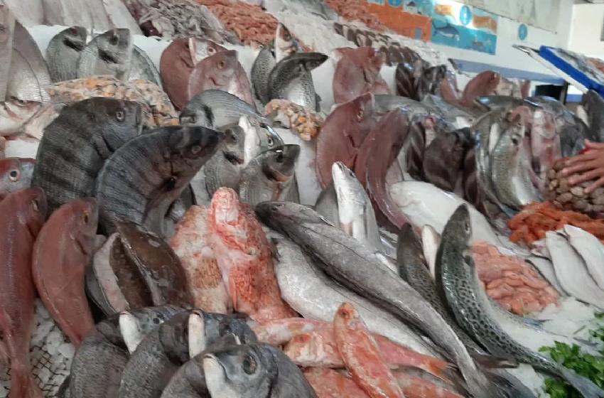  مبادرة “الحوت بثمن معقول”.. إطلاق نقطة لبيع الأسماك المجمدة في سلا الجديدة